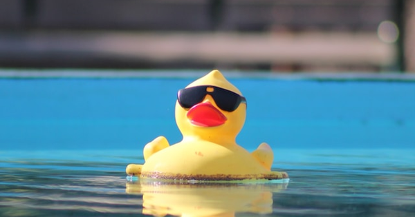 Cool duck image with a magnifying glass